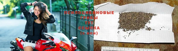 МДПВ Гусиноозёрск