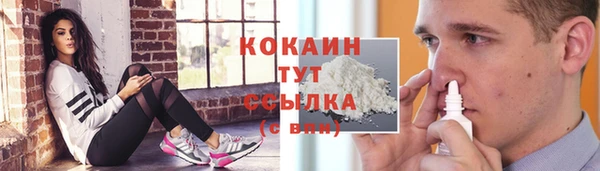 ешки Гусев