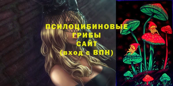 ешки Гусев
