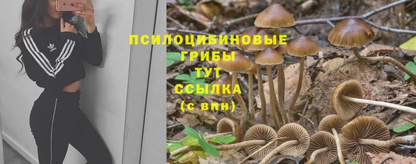 ешки Гусев